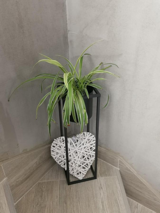 Nozret Apartamento Paljuv Exterior foto